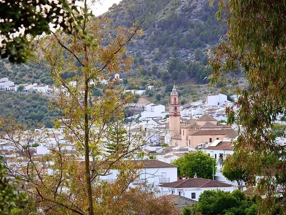 Casa Ana Villa Algodonales Dış mekan fotoğraf